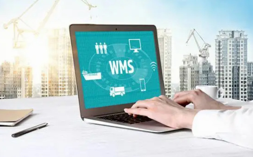 珠海企業(yè)都用什么系統(tǒng)管理倉庫？標(biāo)領(lǐng)WMS系統(tǒng)助你一臂之力！