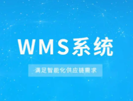 智能倉(cāng)儲(chǔ)管理系統(tǒng)(WMS)的定義和簡(jiǎn)介